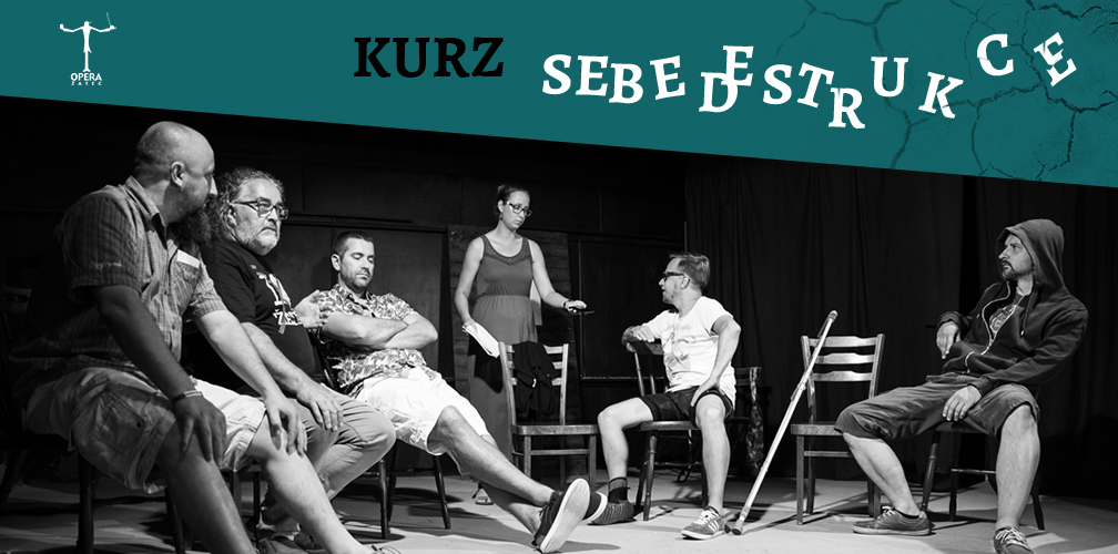 Kurz sebedestrukce